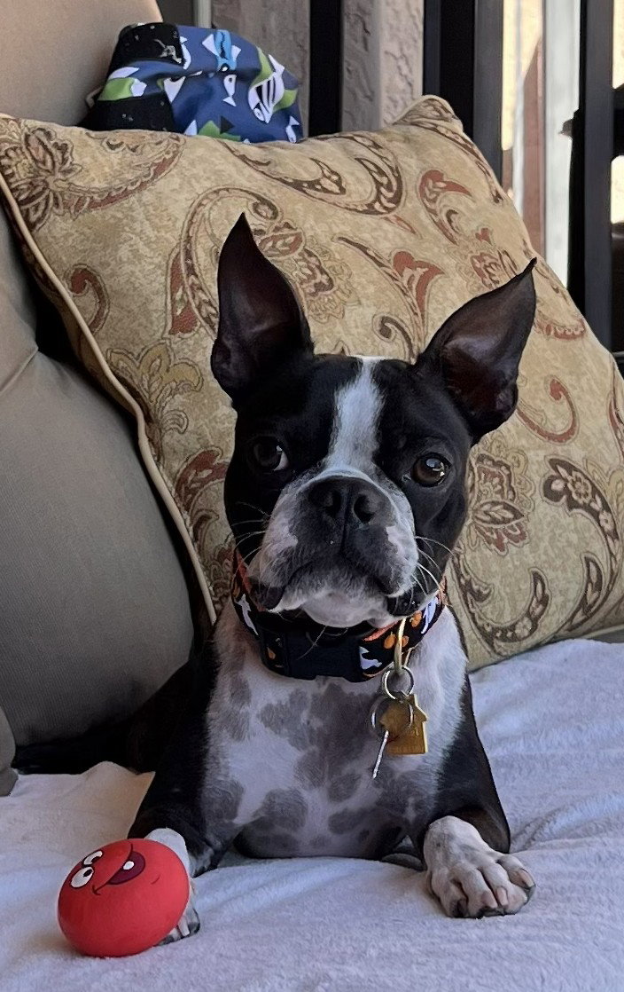 Onyx