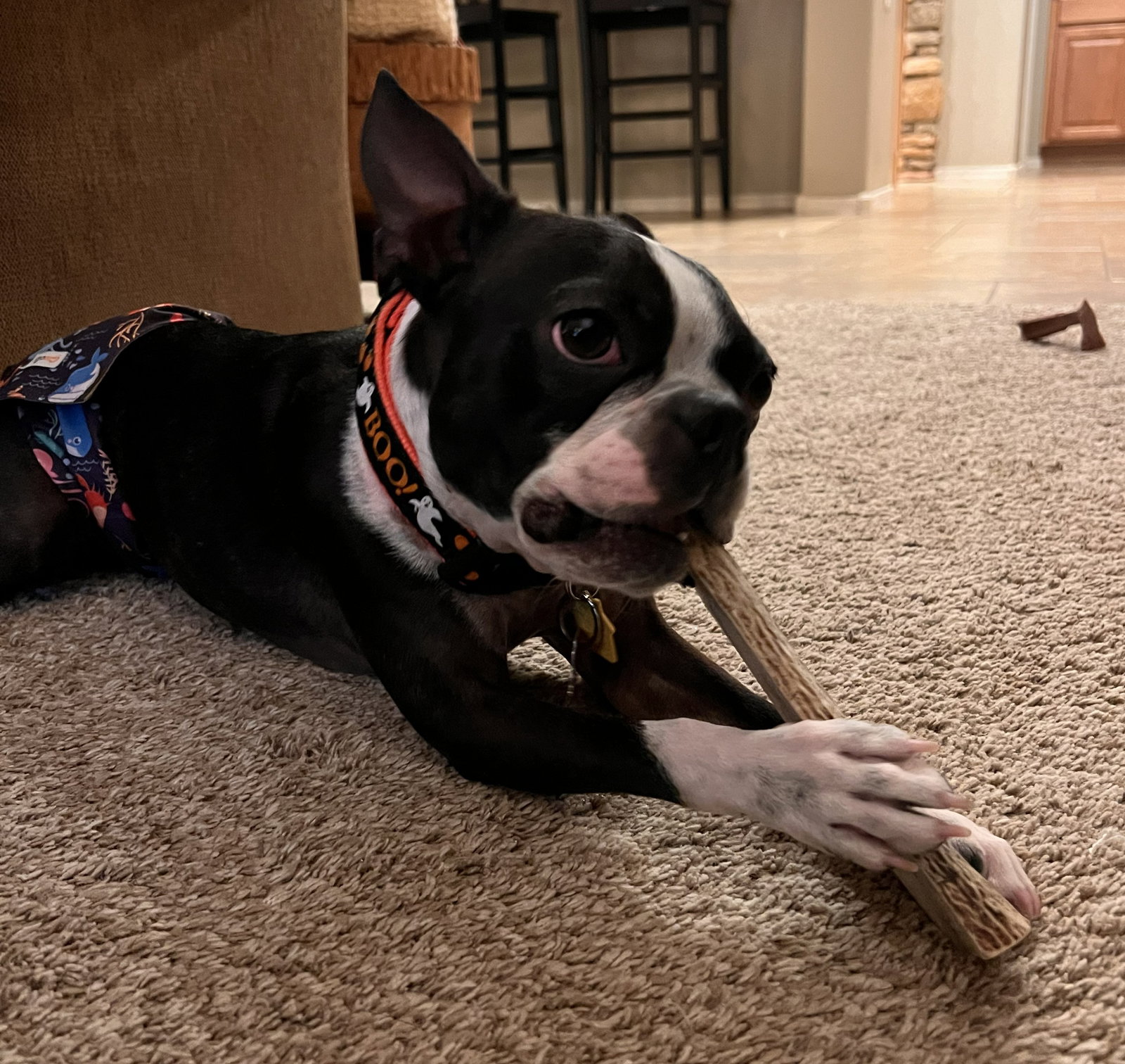 Onyx, photo 2