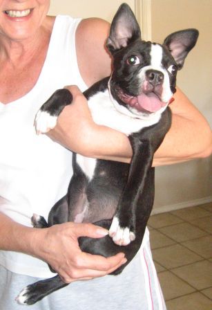 Molly