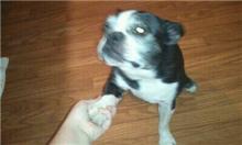 Buster