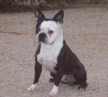 Buster