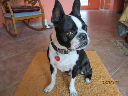 Mugsy