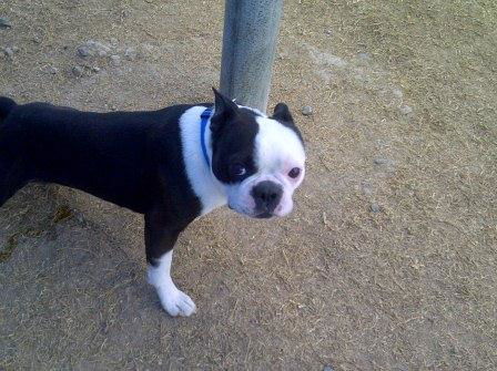 Sonny