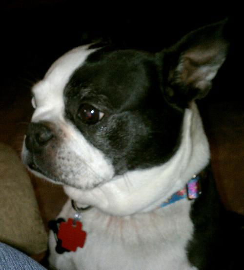 Sophie