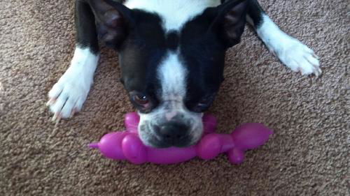 Missy