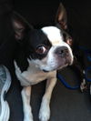 Bugsy, now Axl