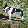 Dudley