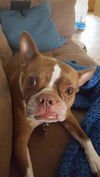 Missy