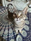 Ella - Photo 3