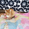 Savage - KBC - Photo 5