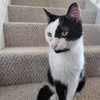 Manny Norton - Photo 2