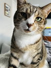 Sprite - Photo 2