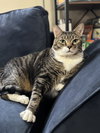 Phil - Photo 4