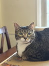 Phil - Photo 6