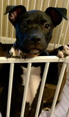 Rubi - Photo 3