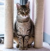 Rocky - Photo 5