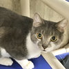Ziti - Photo 8