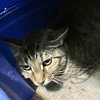 Mary - Photo 6