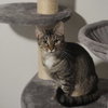 Mary - Photo 2