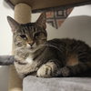 Mary - Photo 4