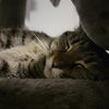 Mary - Photo 5