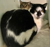 Ditto - Photo 12