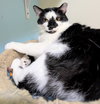 Ditto - Photo 6