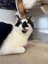 Ditto - Photo 5