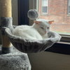 Clawdia - Photo 4