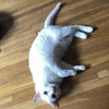 Clawdia - Photo 5