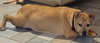 Holly - Photo 2