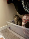 Jumanji - Photo 5
