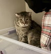 Jumanji - Photo 1
