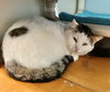 Walter - Photo 2