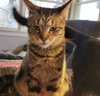 Fuzzle - Photo 1