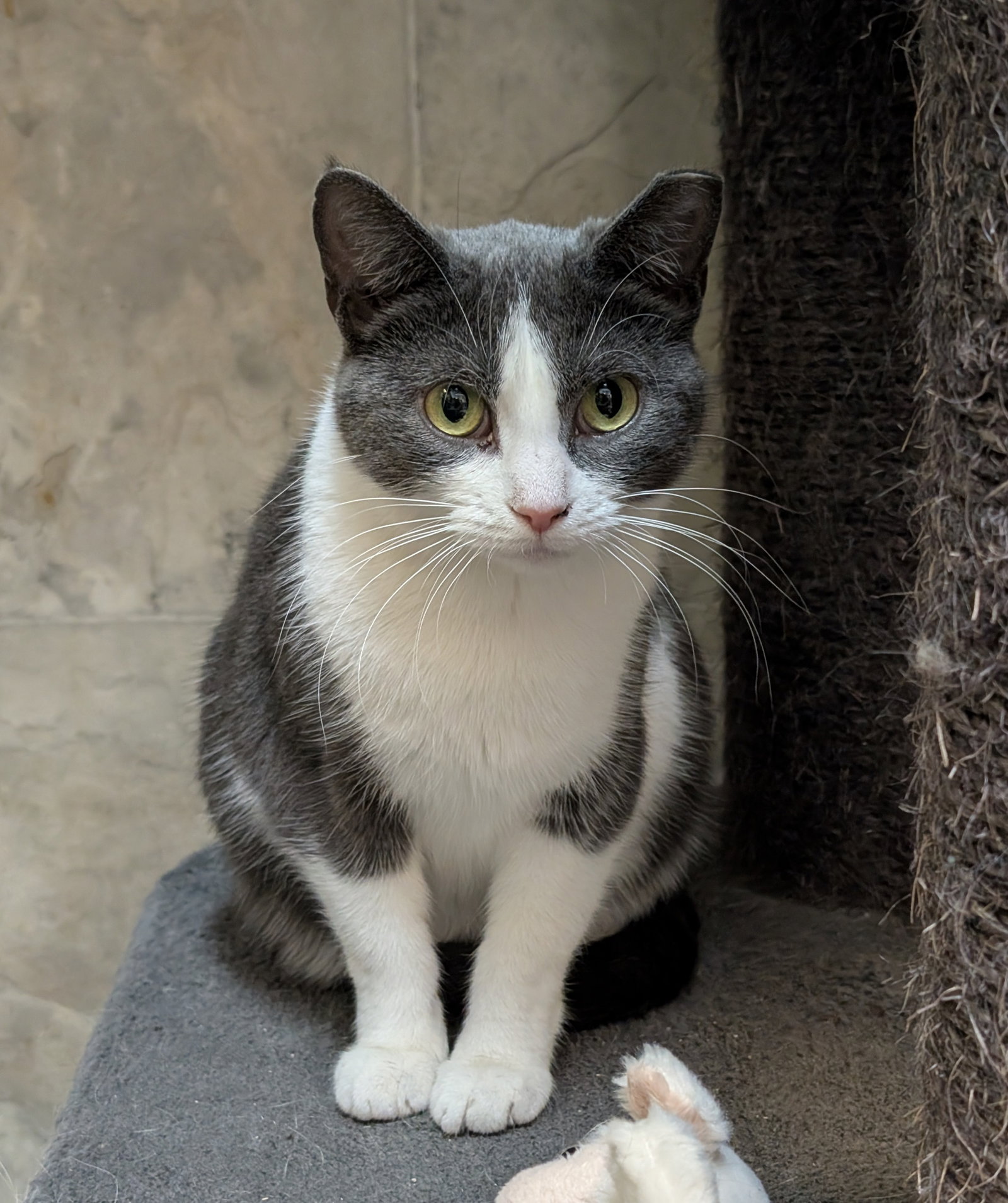 Emma Image