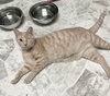 Sunni - Photo 5