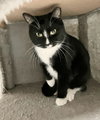 Sunni - Photo 3