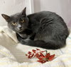 Tully - Photo 4