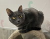 Tully - Photo 1