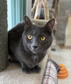 Tully - Photo 1