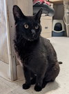 Jolene - KBC - Photo 14