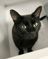 Jolene - KBC - Photo 13