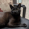 Jolene - KBC - Photo 11