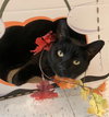 Jolene - KBC - Photo 5