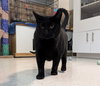 Jolene - KBC - Photo 7