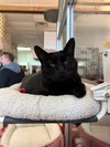Jolene - KBC - Photo 4
