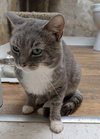 Seymour - Photo 7