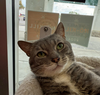 Seymour - Photo 9