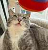 Seymour - Photo 5